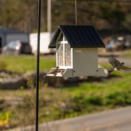 Cozy Cottage, Hot Tub, Fire Pit, 15Min To Hudson And Hiking Catskill Exteriér fotografie