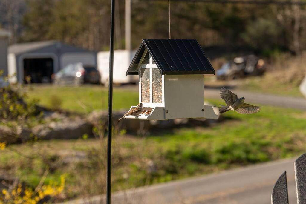Cozy Cottage, Hot Tub, Fire Pit, 15Min To Hudson And Hiking Catskill Exteriér fotografie